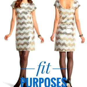 WHBM Gold/Silver Shift Dress